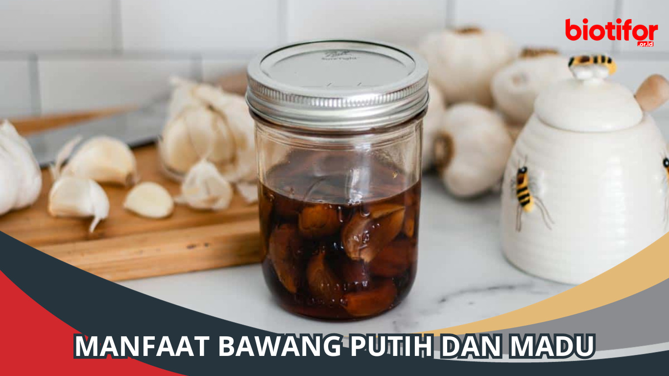 Manfaat Bawang Putih dan Madu: Kombinasi untuk Kesehatan