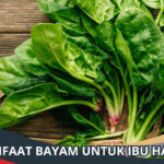 Manfaat Bayam untuk Ibu Hamil