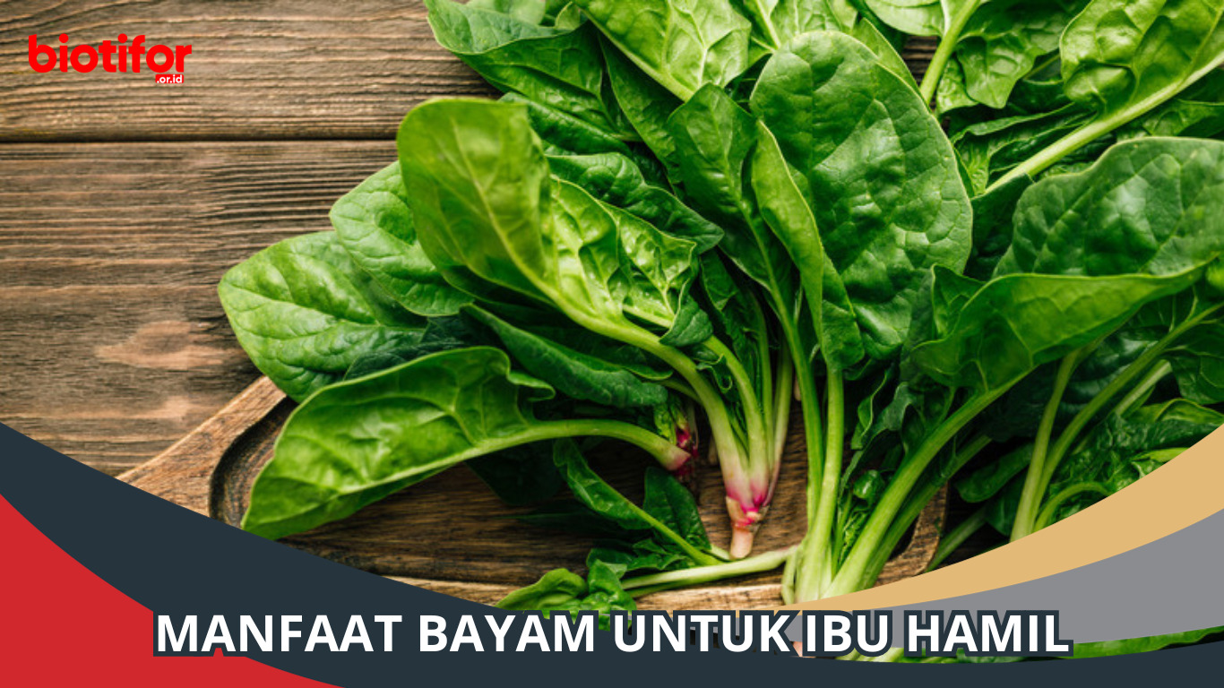 Manfaat Bayam untuk Ibu Hamil