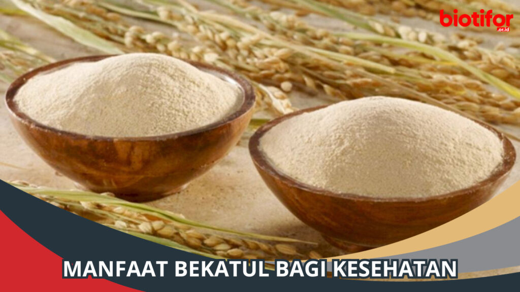 8 Manfaat Bekatul Bagi Kesehatan, Simak! - Biotifor
