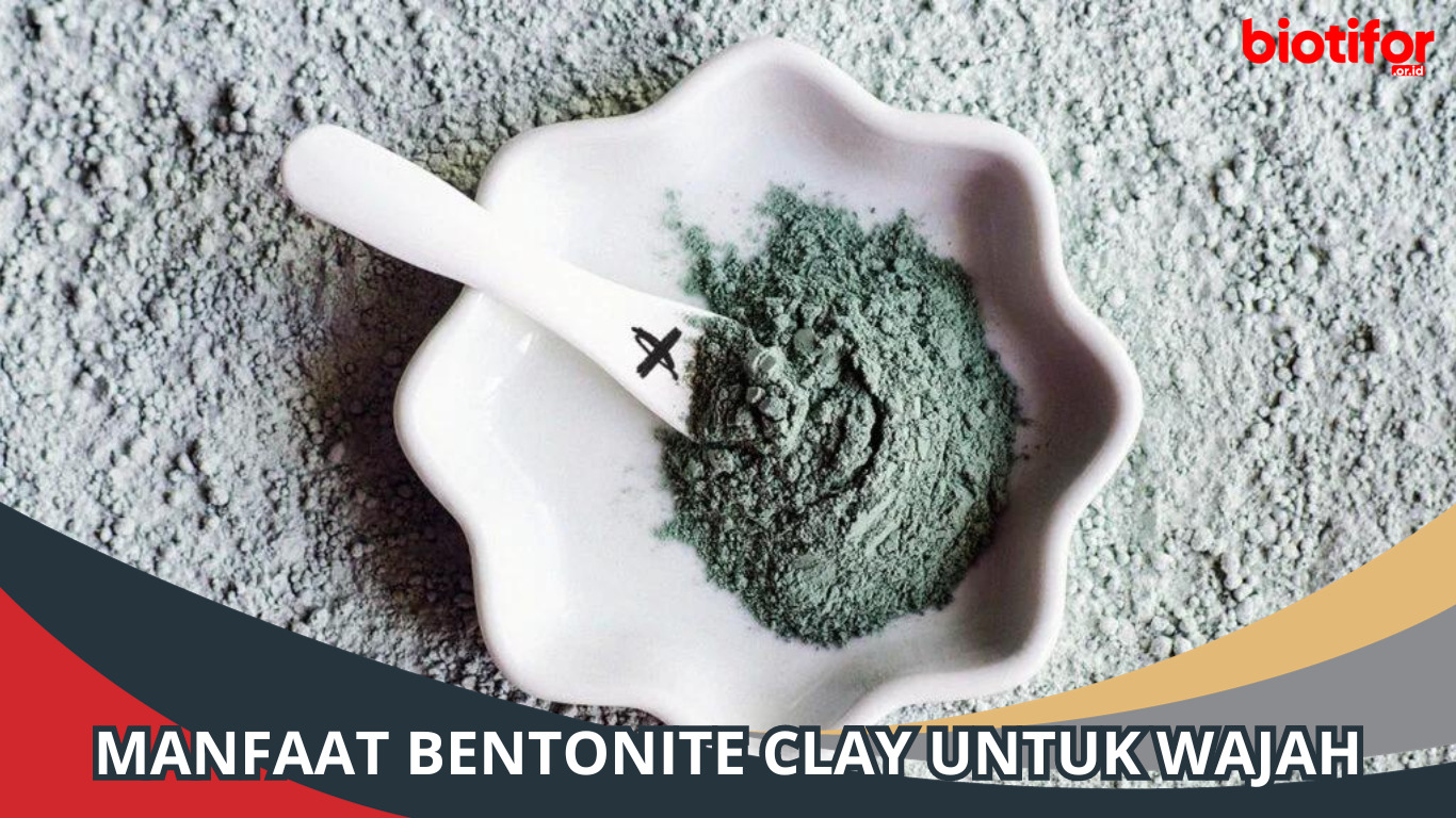 Manfaat Bentonite Clay