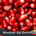 Manfaat Biji Delima