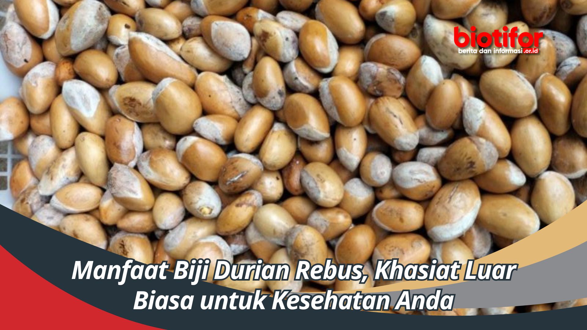Manfaat Biji Durian Rebus, Khasiat Luar Biasa untuk Kesehatan Anda