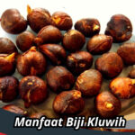 Manfaat Biji Kluwih