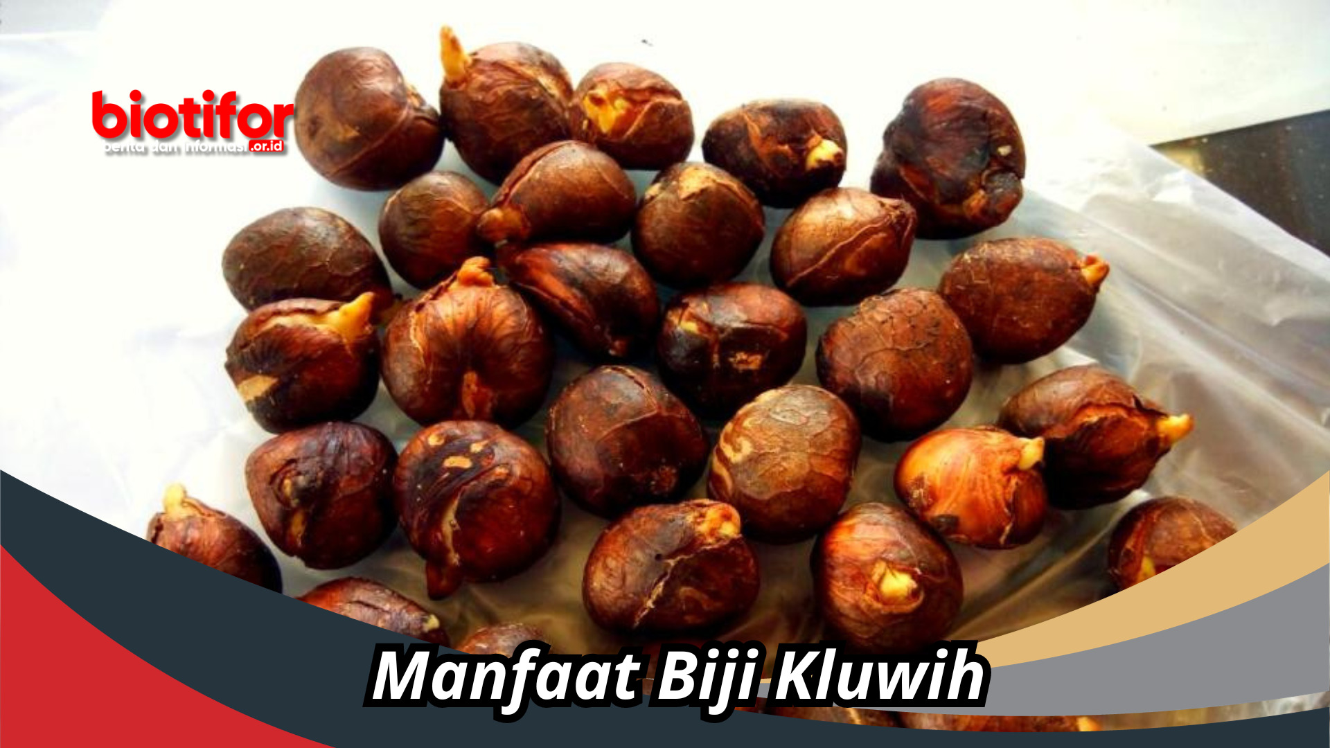 Manfaat Biji Kluwih