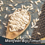 Manfaat Biji Timun