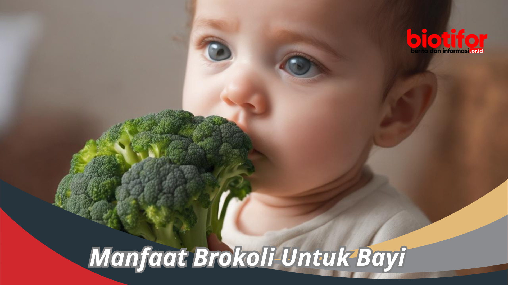 Manfaat Brokoli Untuk Bayi : Membantu Bayi Tumbuh Dengan Kuat