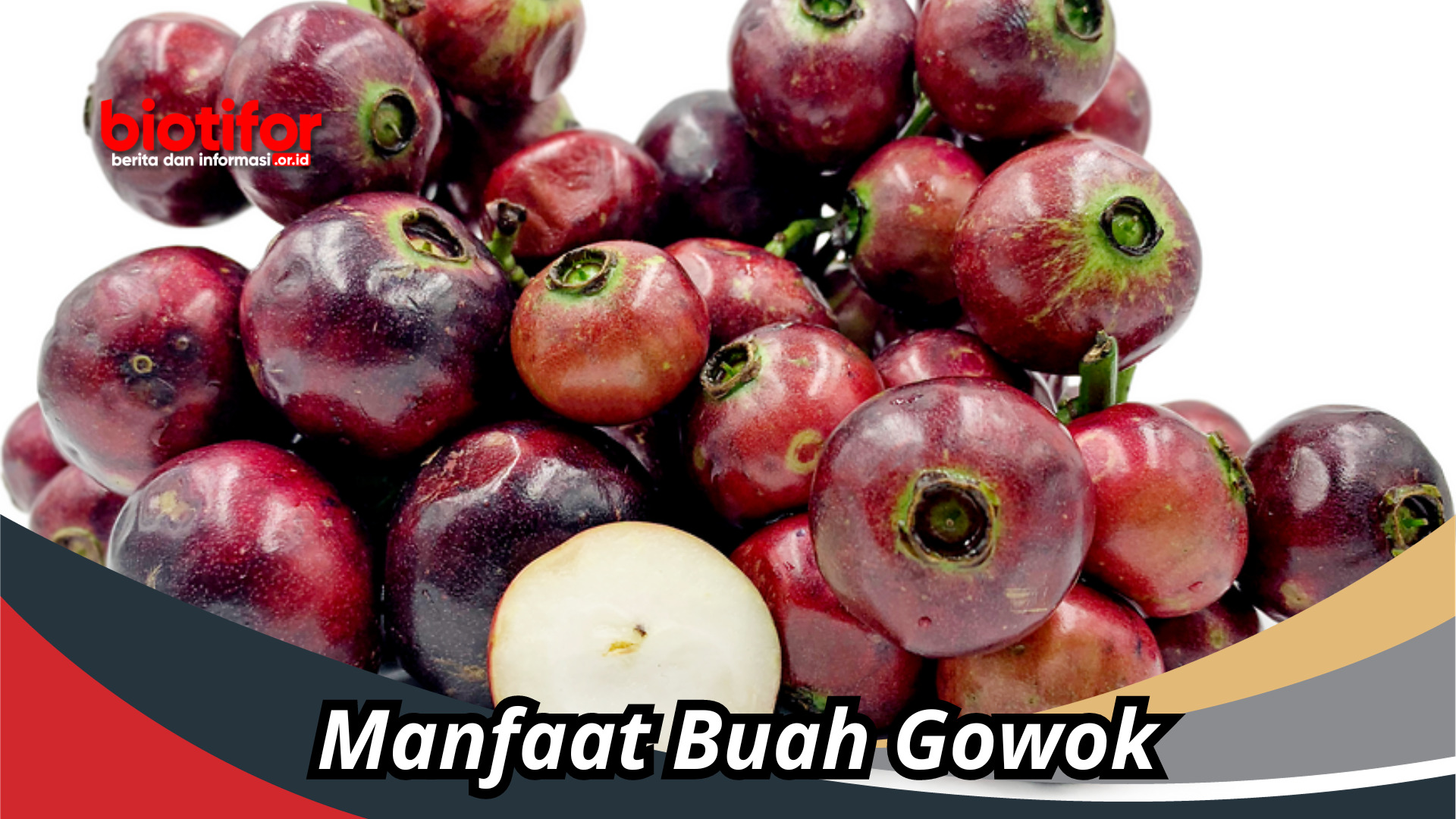 Unik! Ini Manfaat Buah Gowok Yang Mungkin Belum Kamu Tahu!