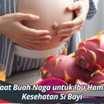 Manfaat Buah Naga untuk Ibu Hamil dan Kesehatan Si Bayi