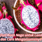 Manfaat Buah Naga untuk Lambung dan Cara Mengonsumsinya