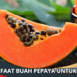 Manfaat Buah Pepaya untuk Diet