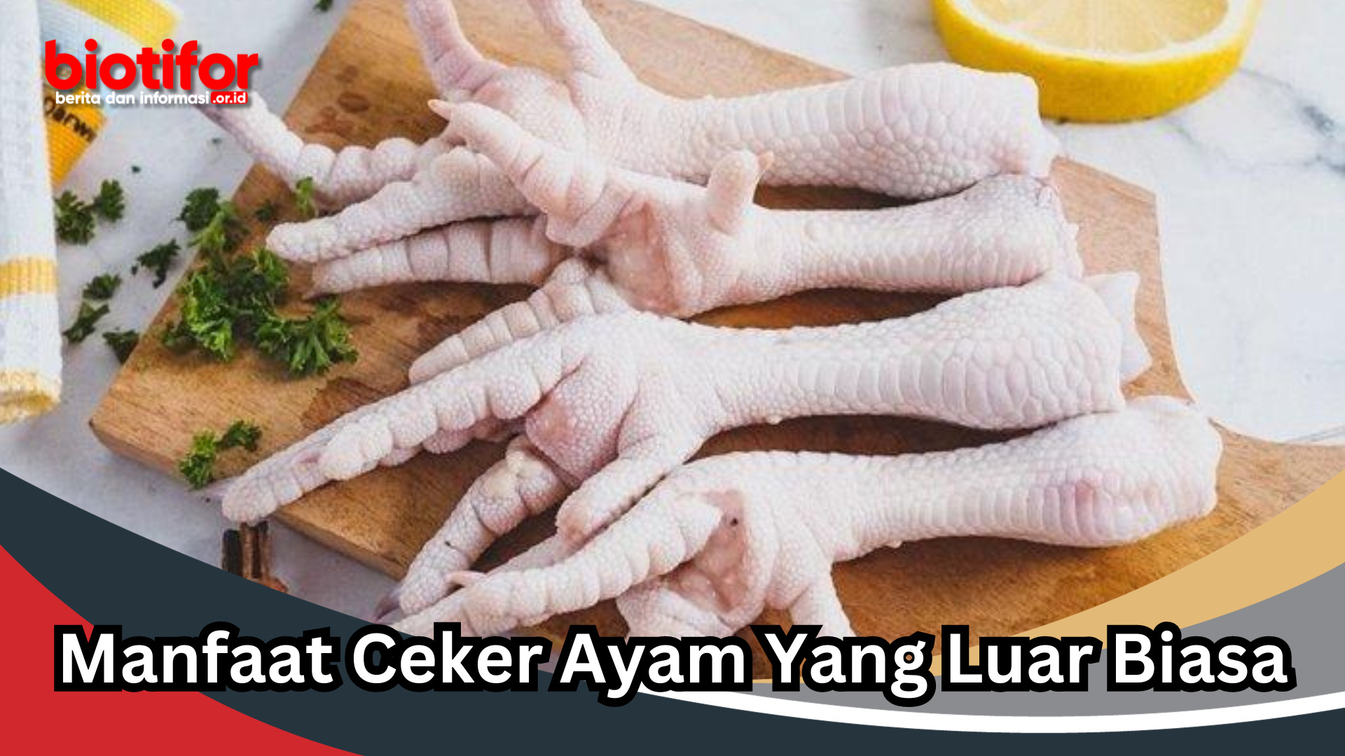 Manfaat Ceker Ayam Yang Luar Biasa