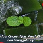 Manfaat Cincau Hijau: Kenali Khasiat dan Keunggulannya