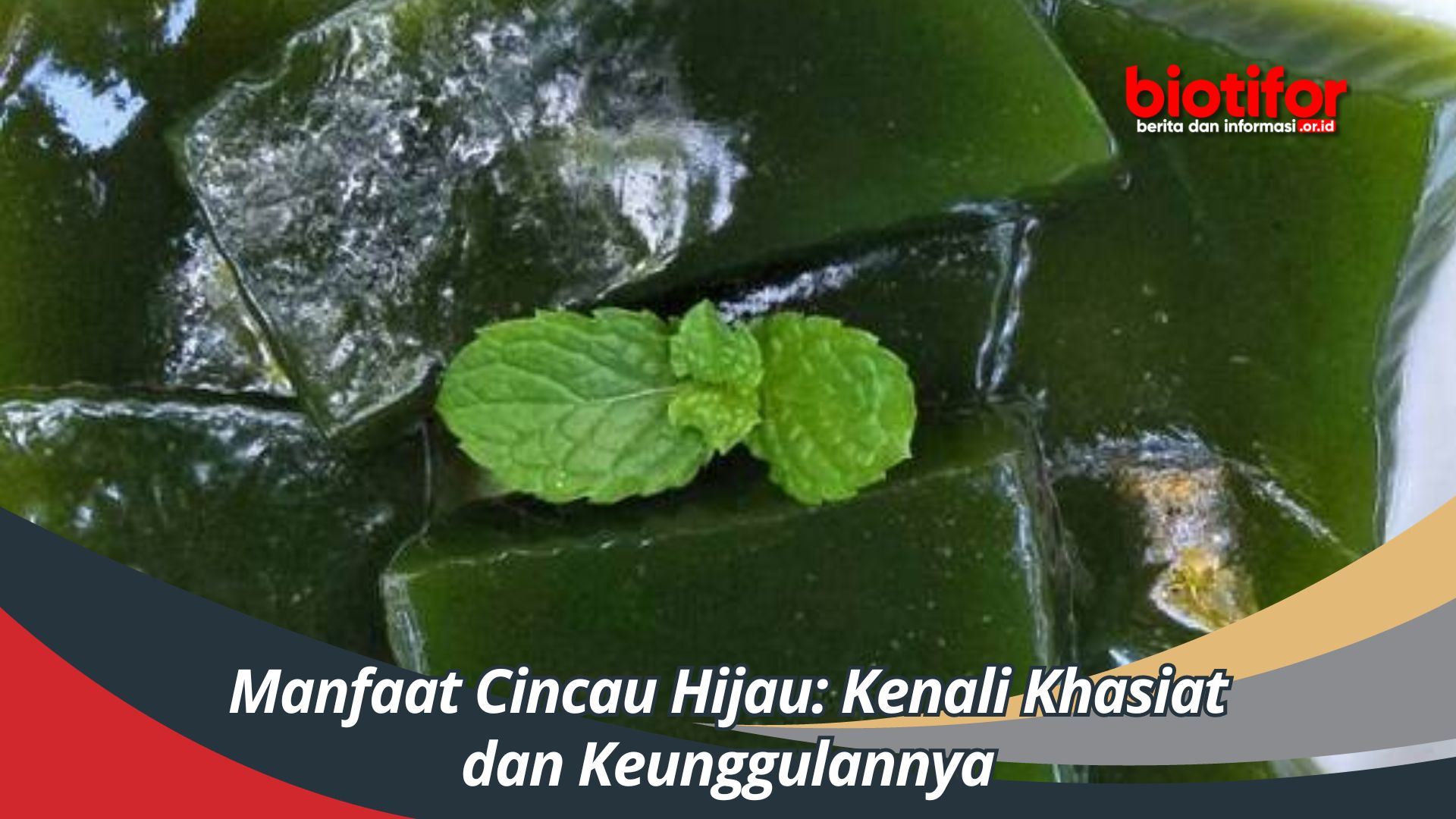 Manfaat Cincau Hijau: Kenali Khasiat dan Keunggulannya