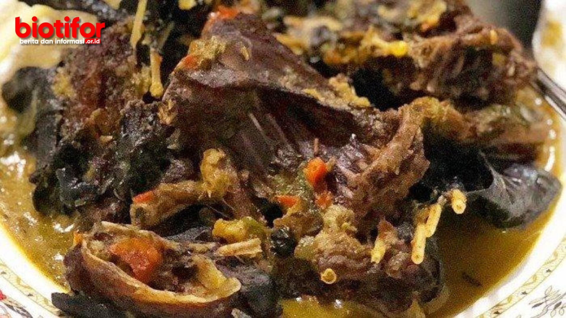 Manfaat Daging Kelelawar