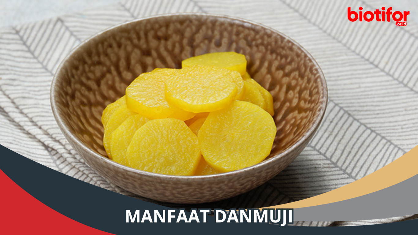 Manfaat Danmuji