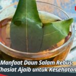 Manfaat Daun Salam Rebus, Khasiat Ajaib untuk Kesehatan