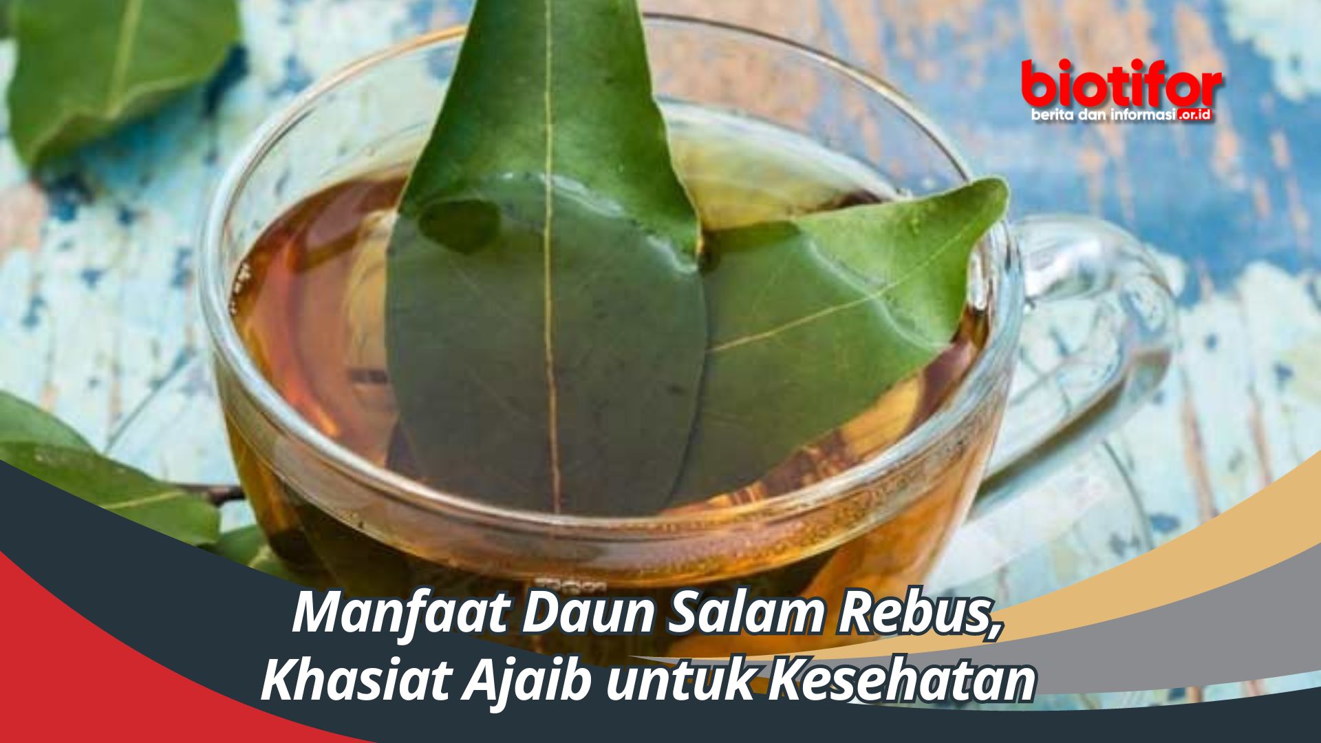 Manfaat Daun Salam Rebus, Khasiat Ajaib untuk Kesehatan