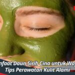 Manfaat Daun Sirih Cina untuk Wajah, Tips Perawatan Kulit Alami