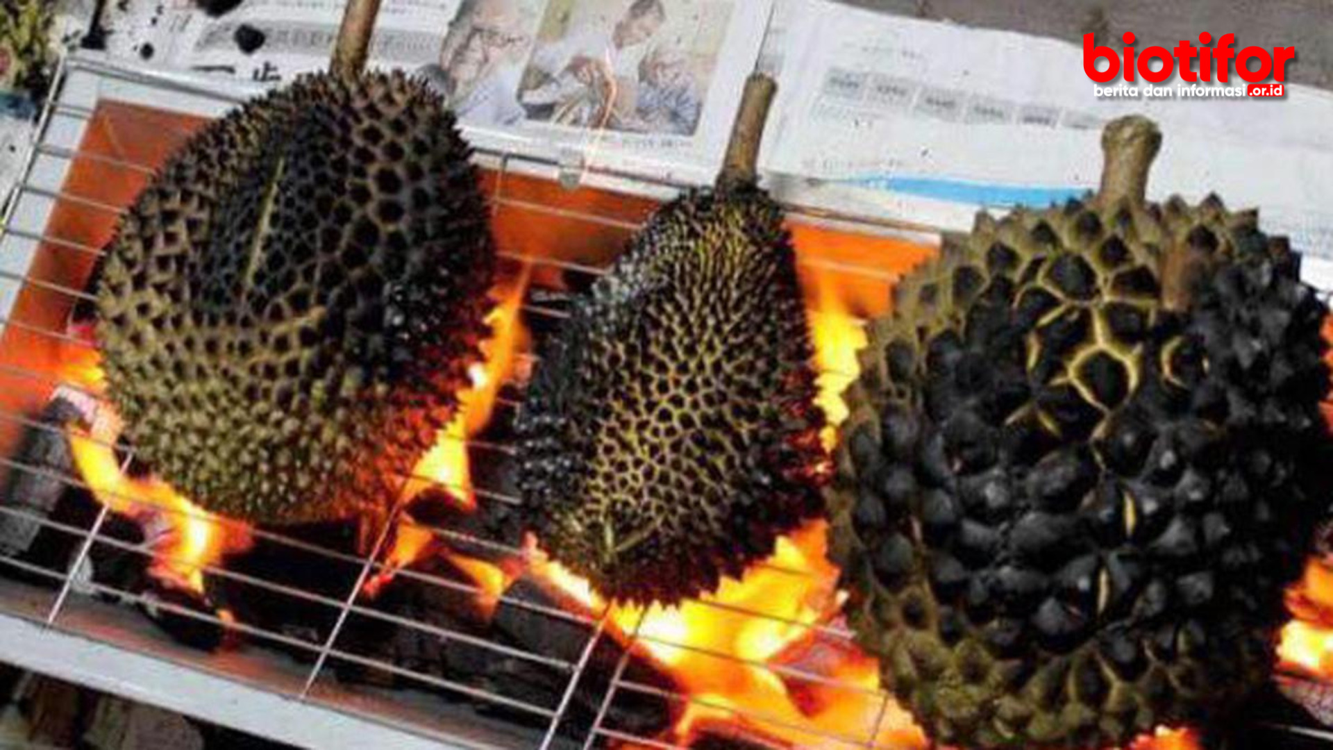 Manfaat Durian Bakar