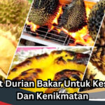 Manfaat Durian Bakar