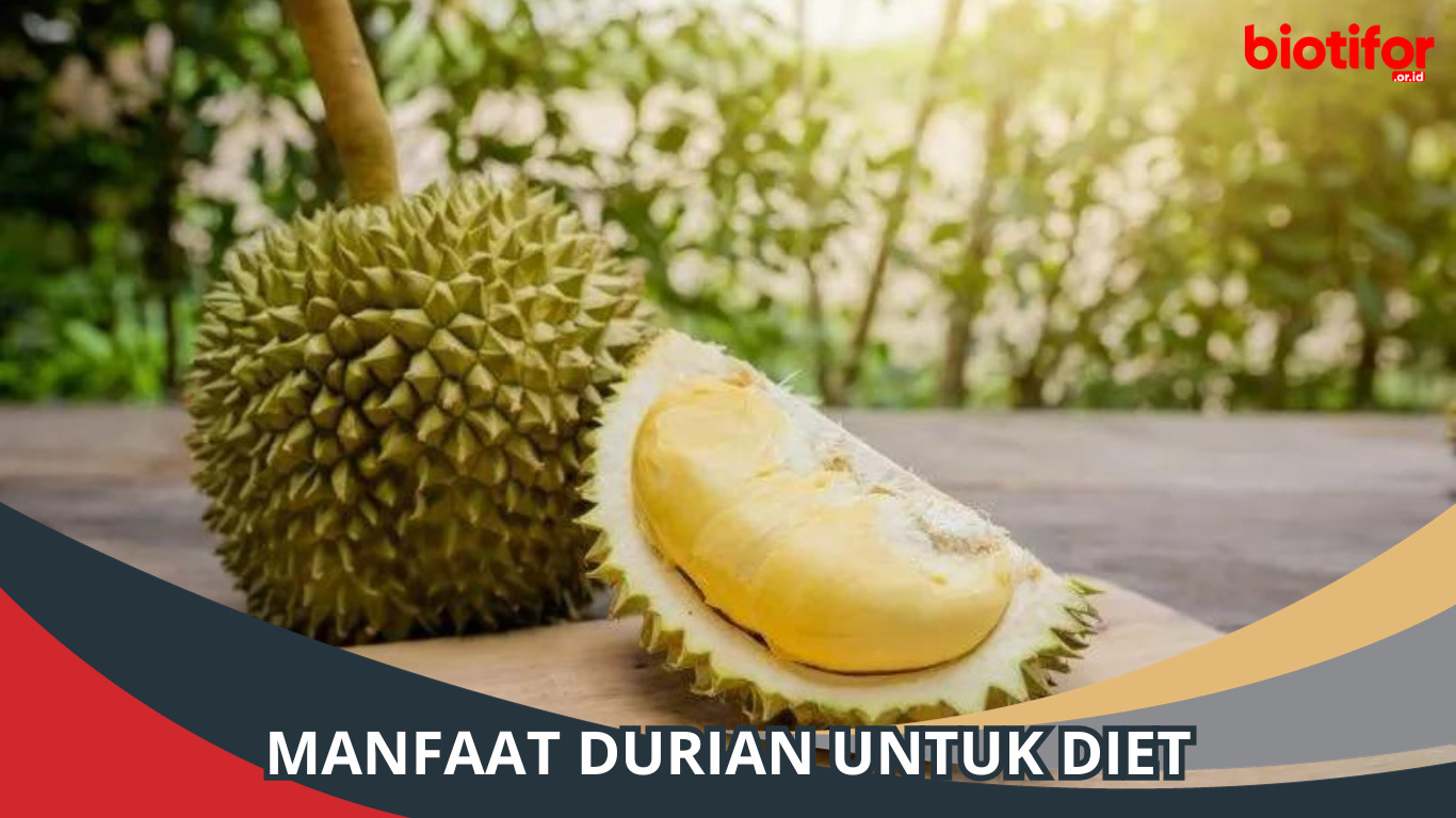 Manfaat Durian untuk Diet