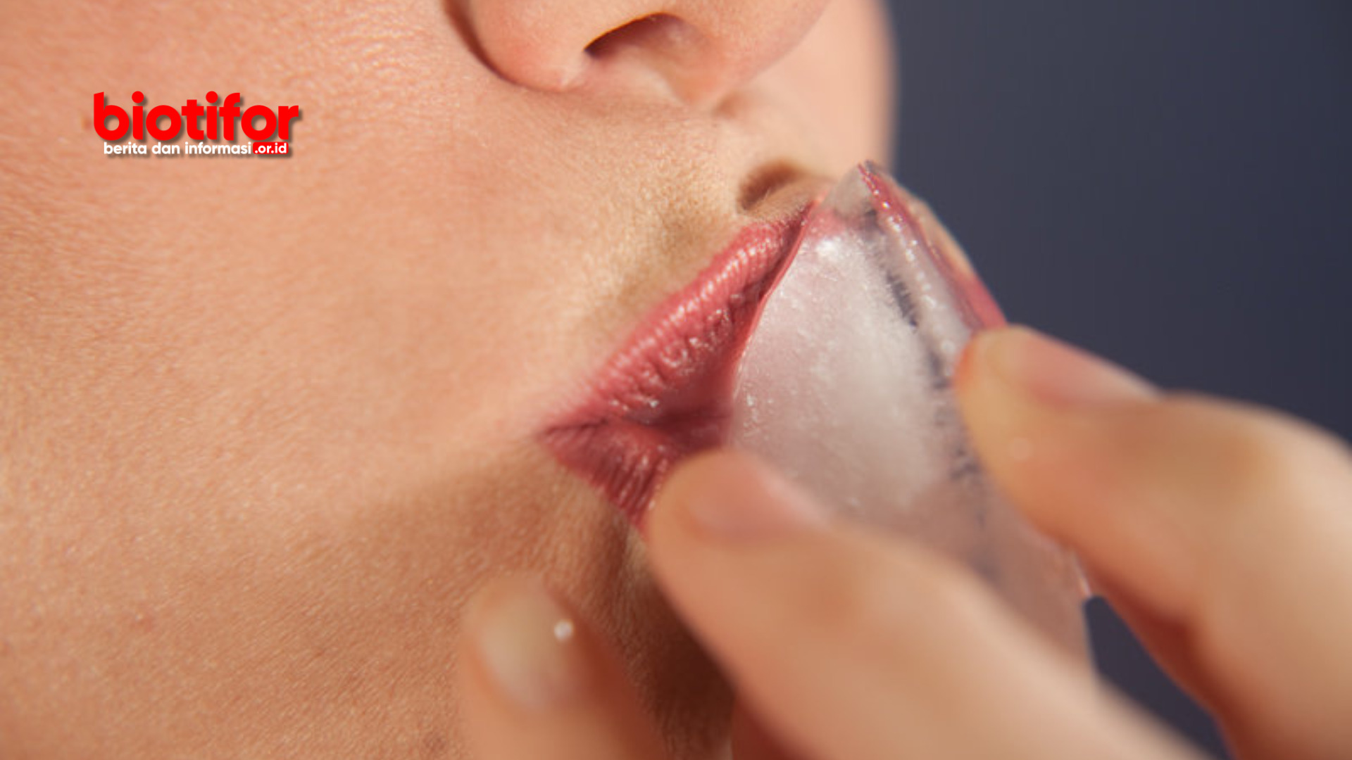manfaat es batu untuk bibir
