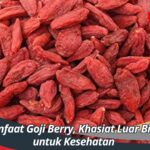 Manfaat Goji Berry, Khasiat Luar Biasa untuk Kesehatan