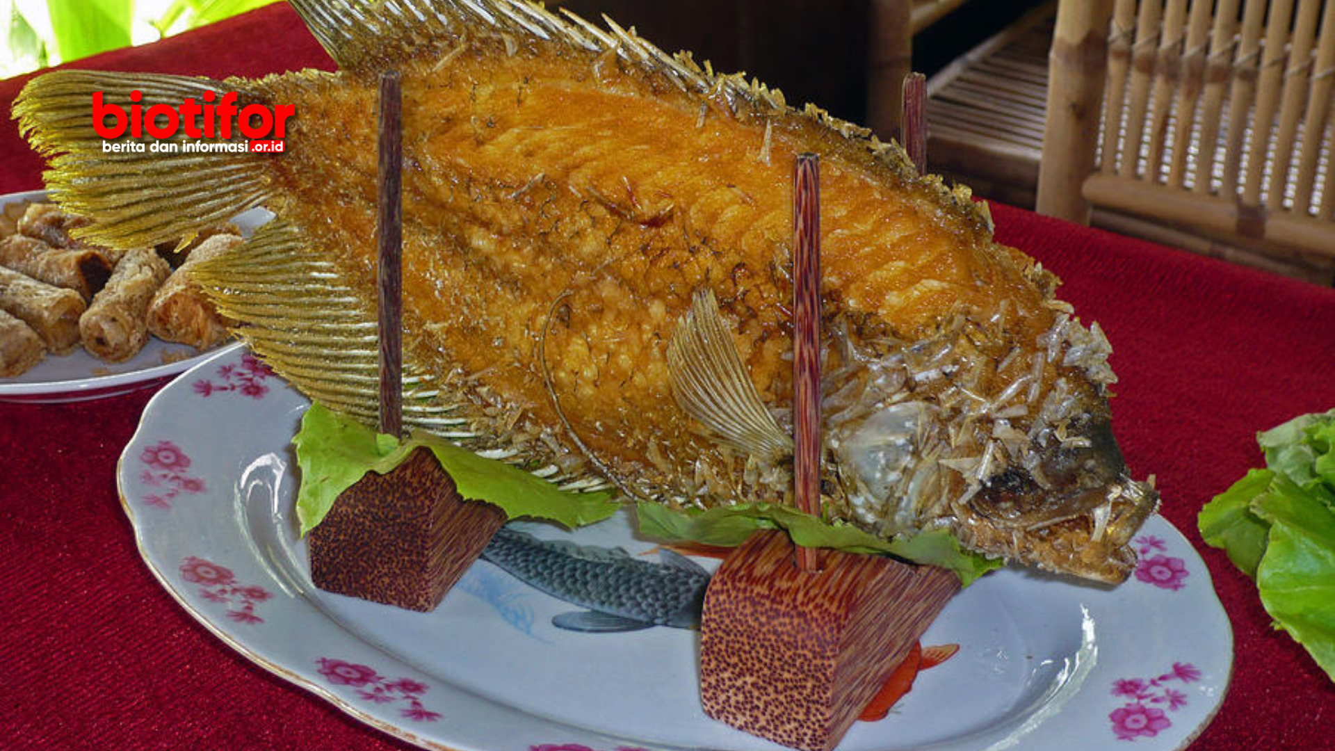 manfaat ikan gurame