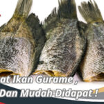 Manfaat Ikan Gurame