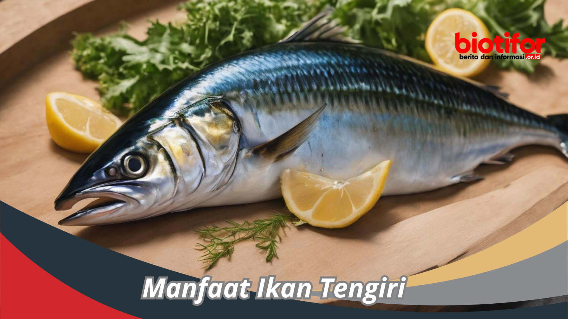 Manfaat Ikan Tengiri , Sumber Vitamin Dan Mineral Yang Lengkap