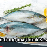 Manfaat Ikan Tuna