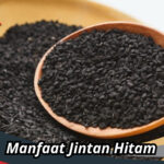 Manfaat Jintan Hitam