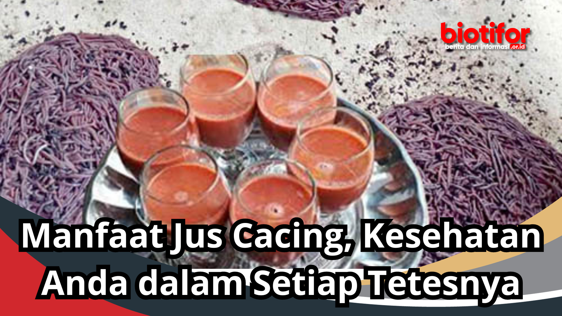 Manfaat Jus Cacing, Kesehatan Anda dalam Setiap Tetesnya