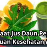 Manfaat Jus Daun Pepaya