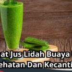 Manfaat Jus Lidah Buaya