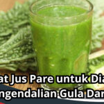 Manfaat Jus Pare untuk Diabetes