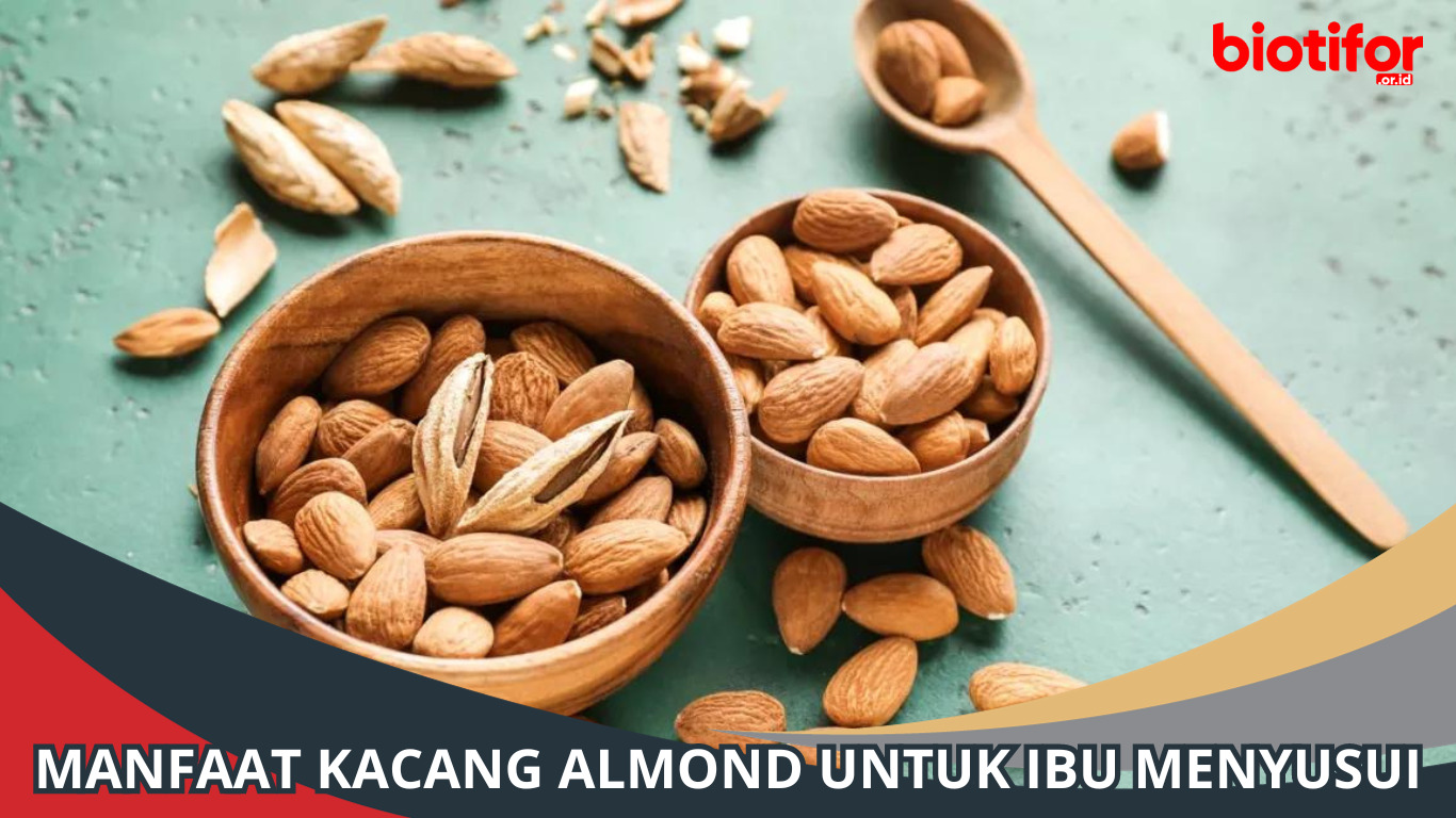 Manfaat Kacang Almond untuk Ibu Menyusui