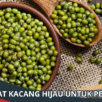 Manfaat Kacang Hijau untuk Perkutut