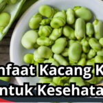 Manfaat Kacang Koro