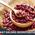 Manfaat Kacang Merah untuk Bayi