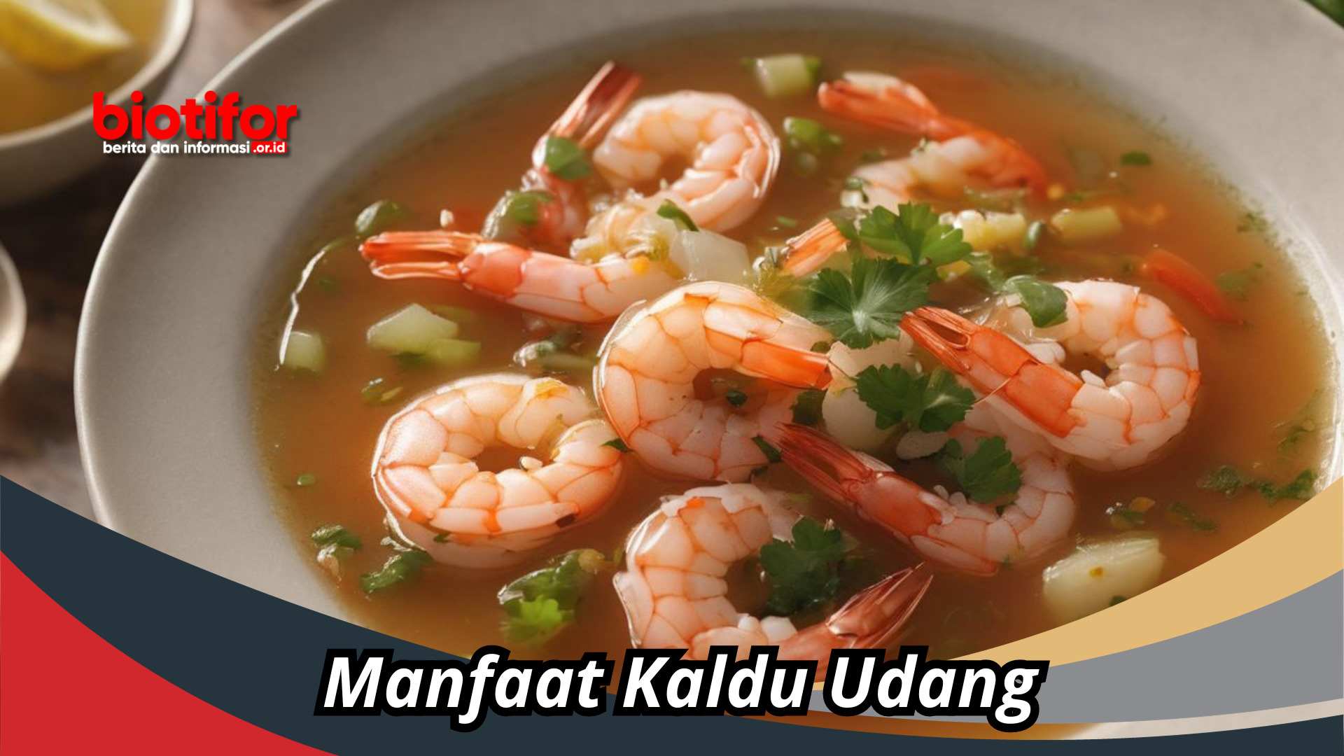 Manfaat Kaldu Udang