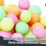 Manfaat Kapur Barus yang Perlu Anda Ketahui