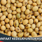 Manfaat Kedelai untuk Kulit