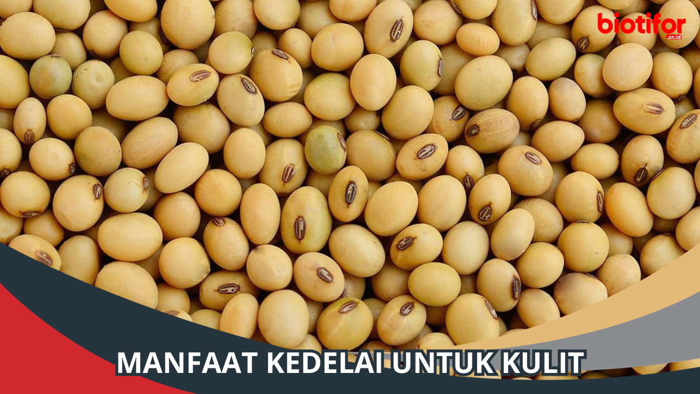 Manfaat Kedelai untuk Kulit, Tips Kulit Cantik dan Bersih