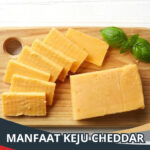 Manfaat Keju Cheddar