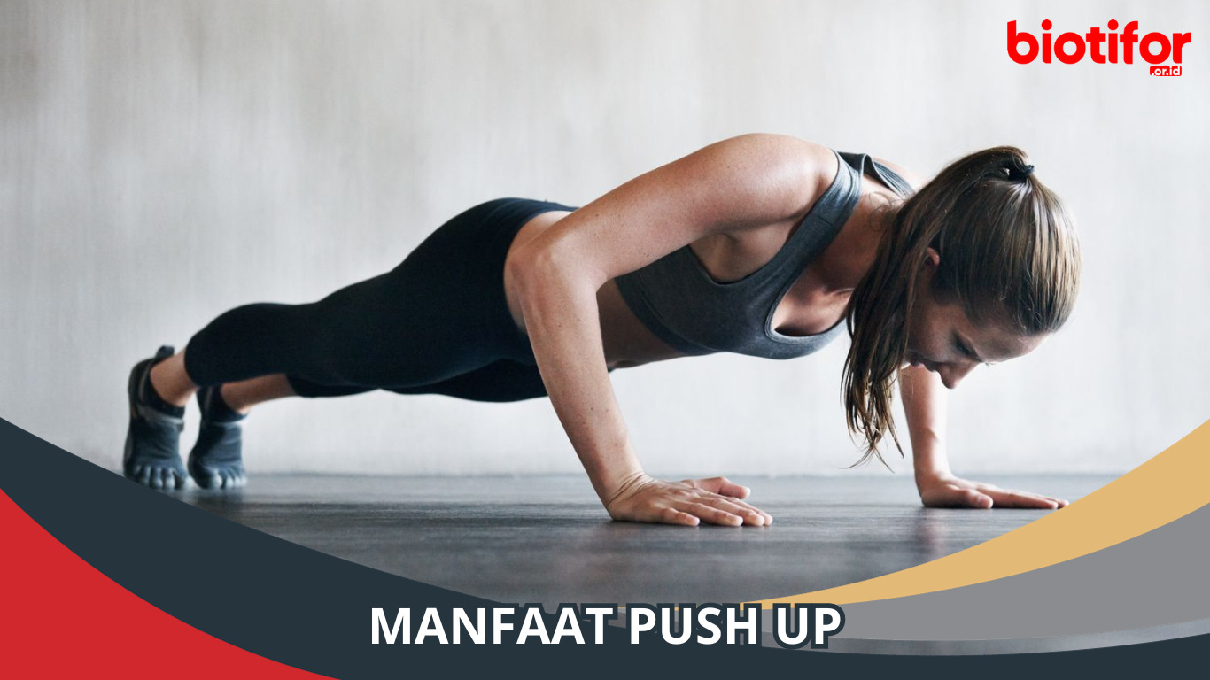 Manfaat Push Up