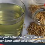 Manfaat Ketumbar Rebus, Khasiat Luar Biasa untuk Kesehatan Anda