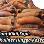 Manfaat Kikil Sapi