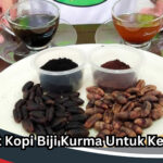 Manfaat Kopi Biji Kurma